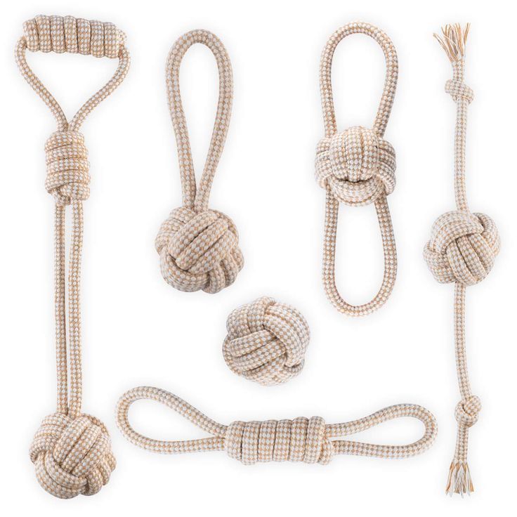 Dây dù Poly - Dây kéo - Đồ chơi cho chó