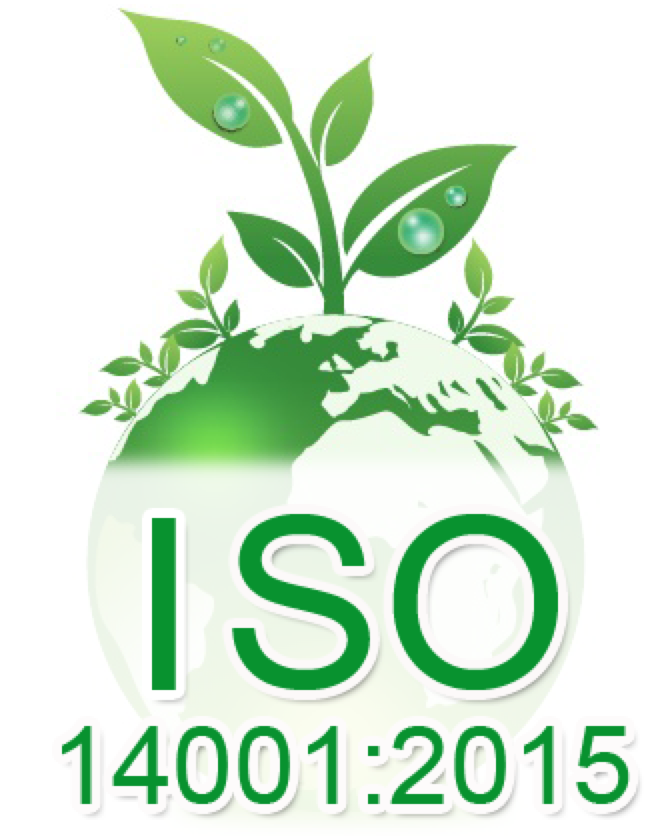 Chứng nhận ISO 14001 của công ty MI DO RI