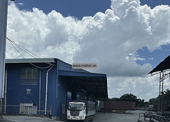 Dây đai dệt giá rẻ các loại